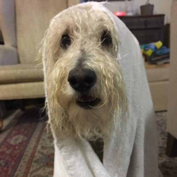 Meet your Posher, Kristine - Picture 2 of 2